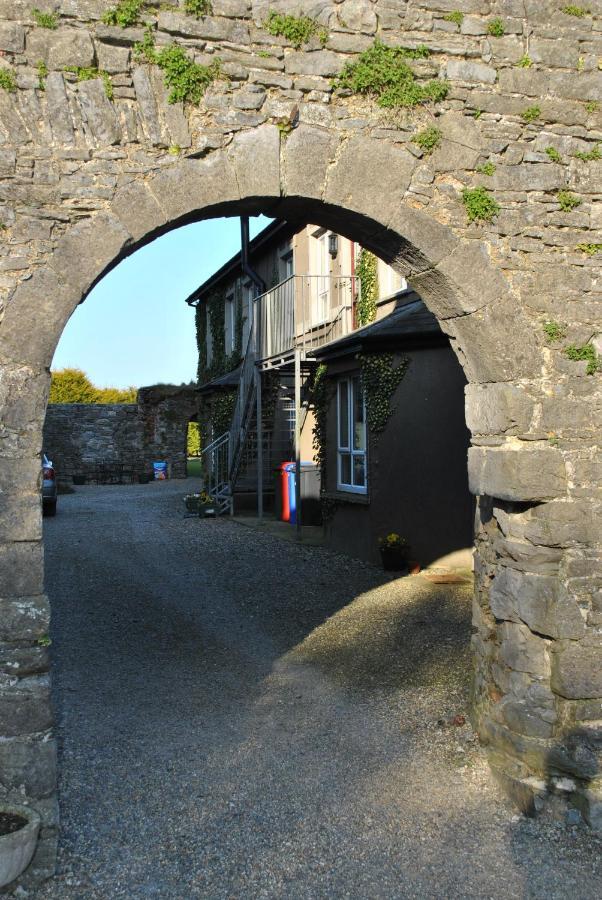Killiane Castle Country House & Farm Drinagh Kültér fotó