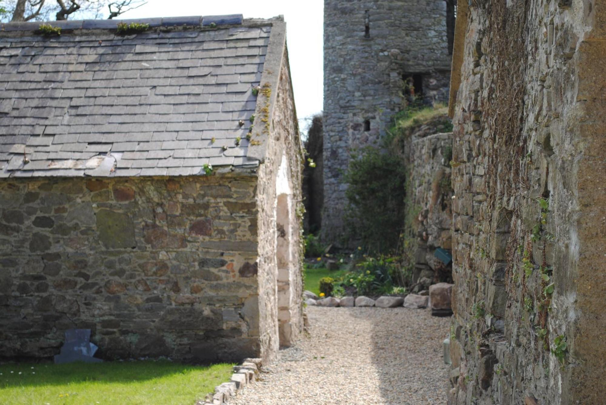 Killiane Castle Country House & Farm Drinagh Kültér fotó