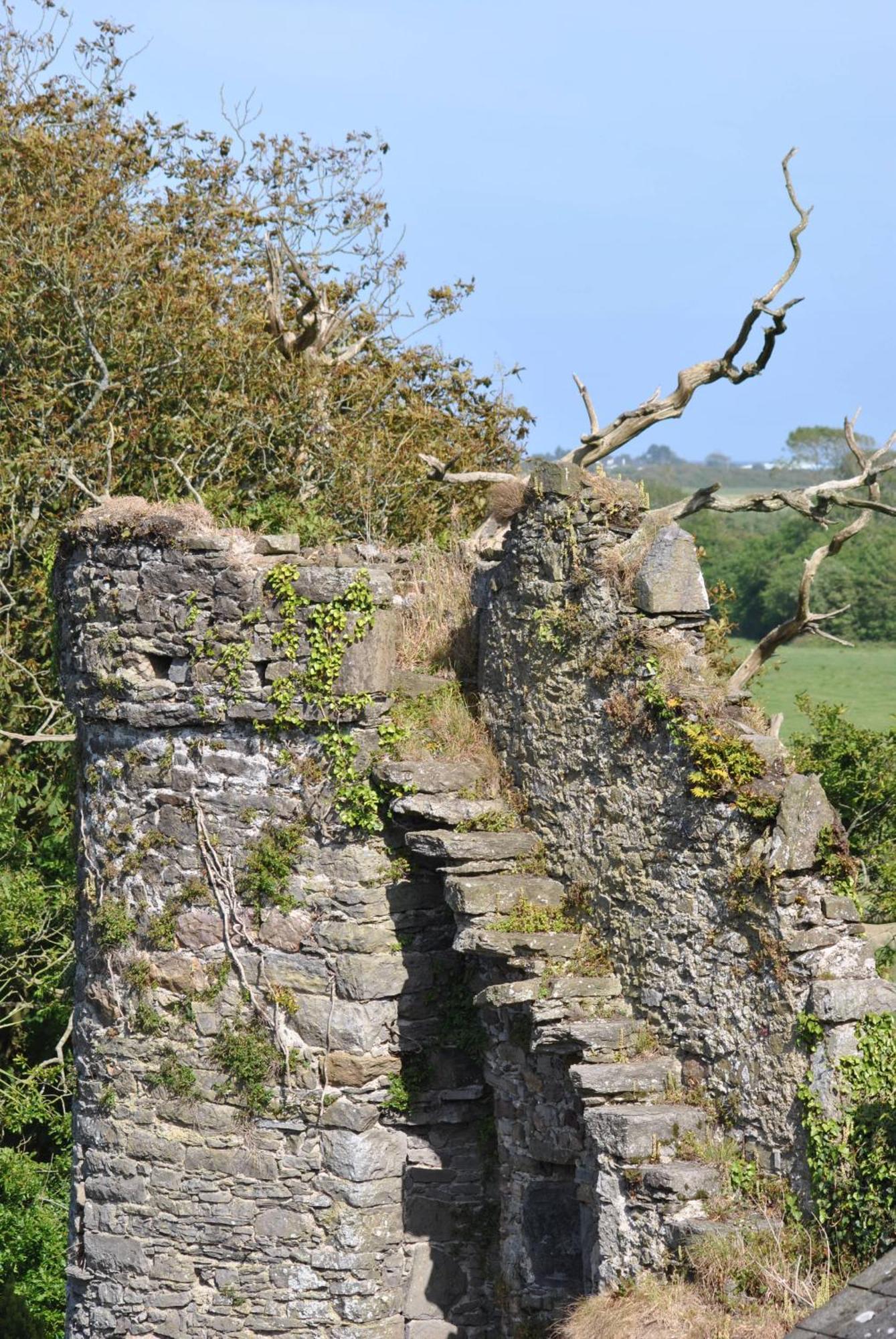 Killiane Castle Country House & Farm Drinagh Kültér fotó