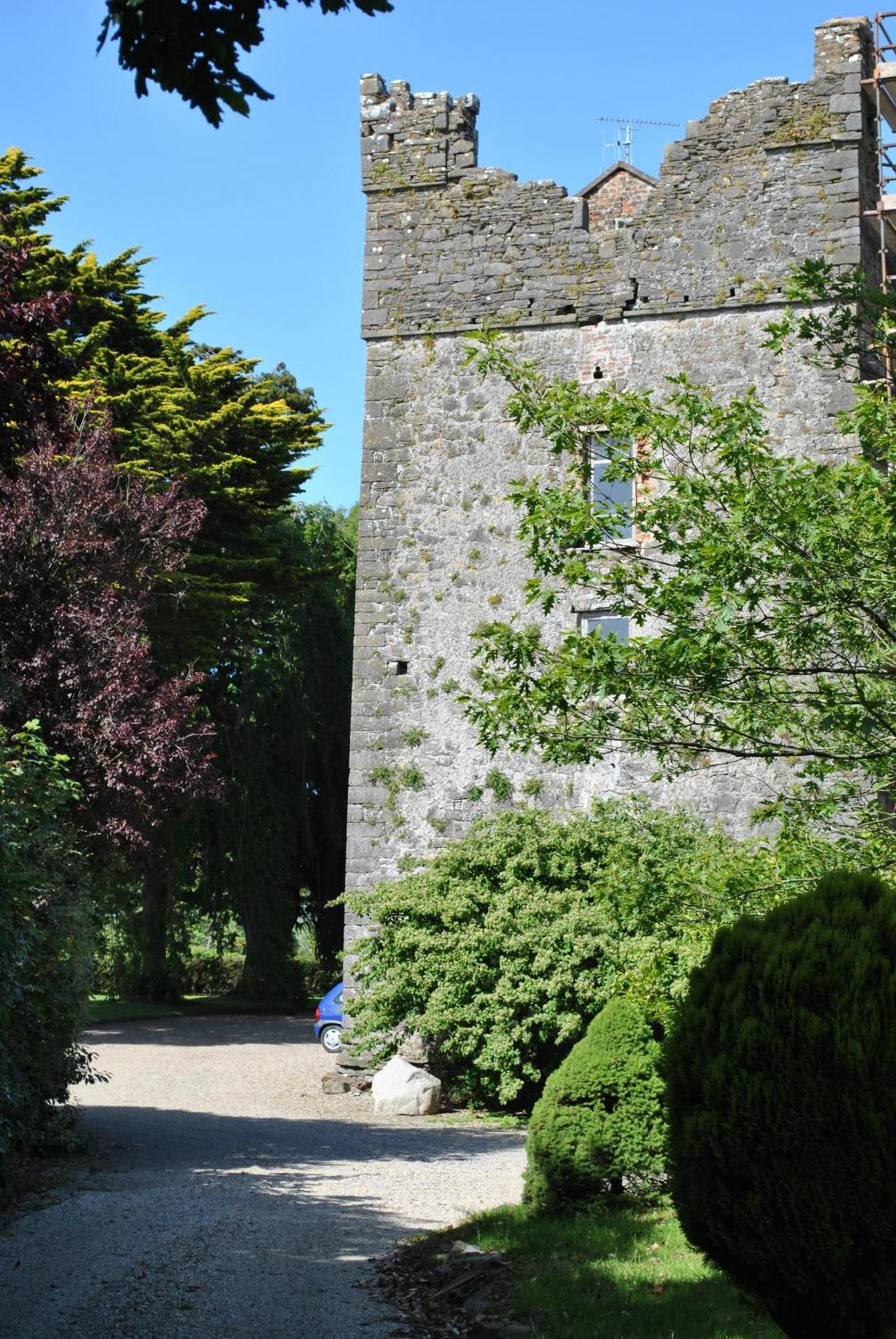 Killiane Castle Country House & Farm Drinagh Kültér fotó