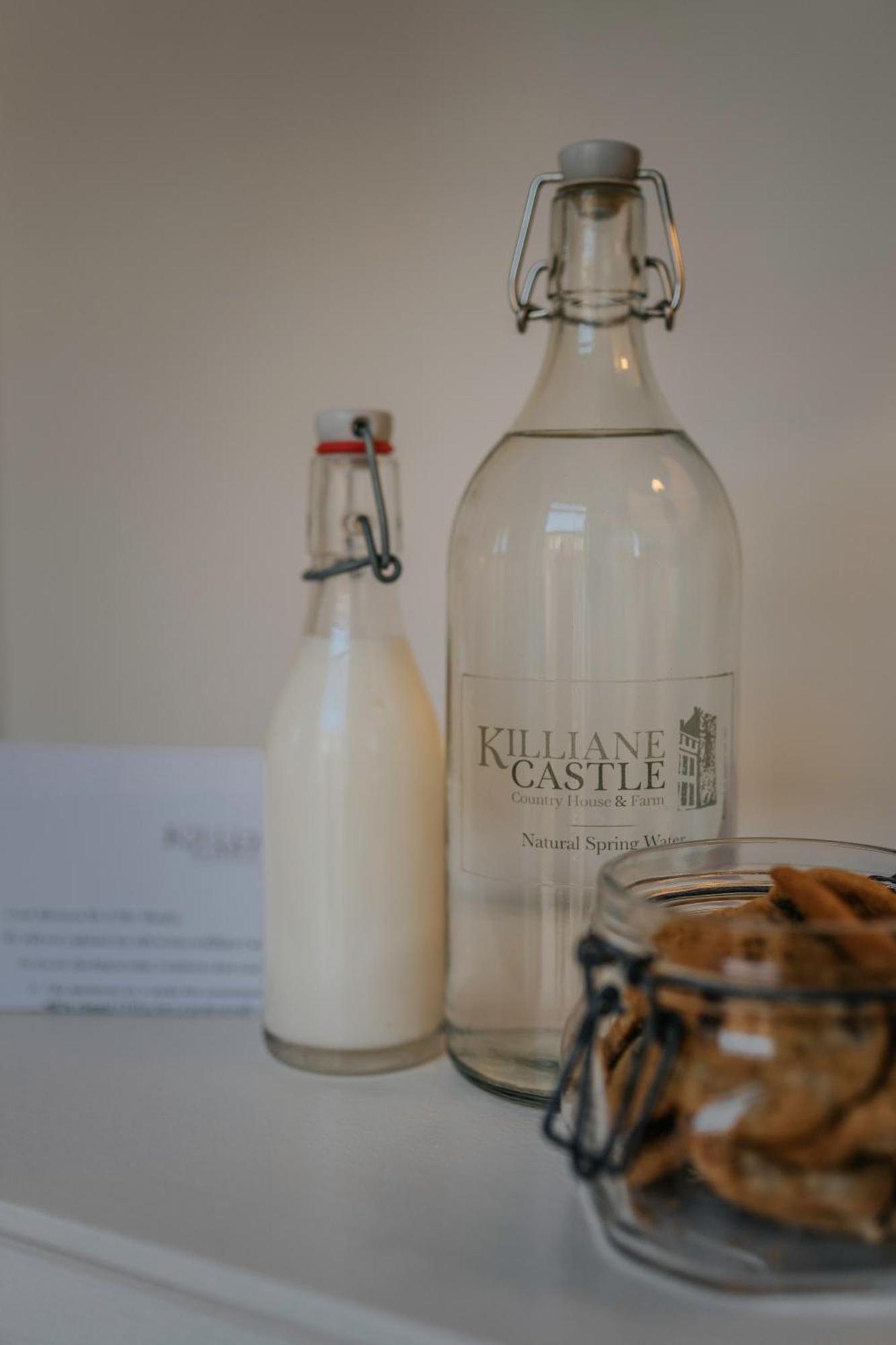 Killiane Castle Country House & Farm Drinagh Kültér fotó