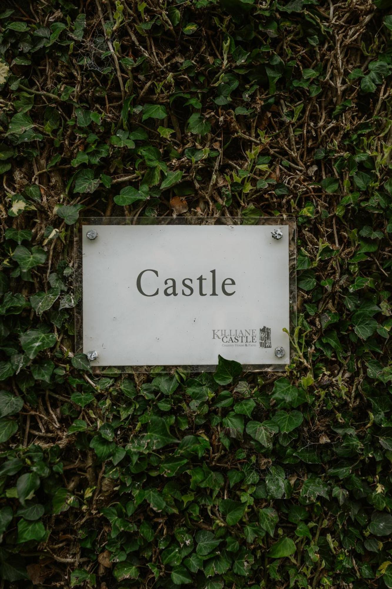 Killiane Castle Country House & Farm Drinagh Kültér fotó